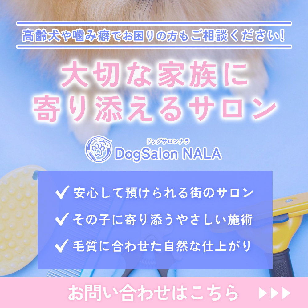 modal_banner